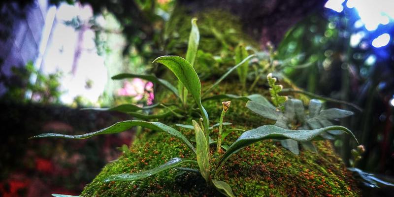 专业调酒师的家庭酒吧：曼哈顿风格水龙头如何成为家庭娱乐空间的核心