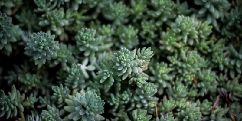 从切尔西市场到家庭厨房：商用级下拉式水龙头如何重塑你的鸡尾酒体验