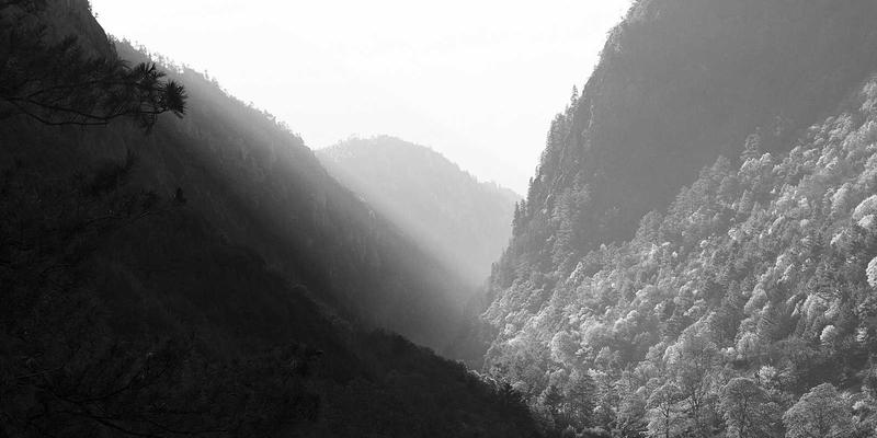 复古酒吧的灵魂细节：在历史酒店改造中，如何为现代鸡尾酒文化挑选节水型水龙头