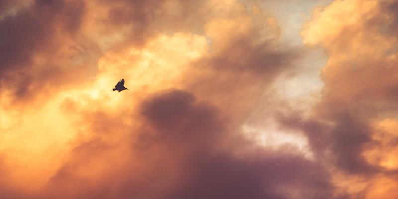 当纽约酒吧遇上管道革命：曼哈顿老旧管道升级中的高兼容性水龙头选型挑战