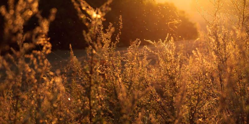 曼哈顿水龙头19：纽约酒吧的灵魂鸡尾酒，一杯穿越时空的经典推荐