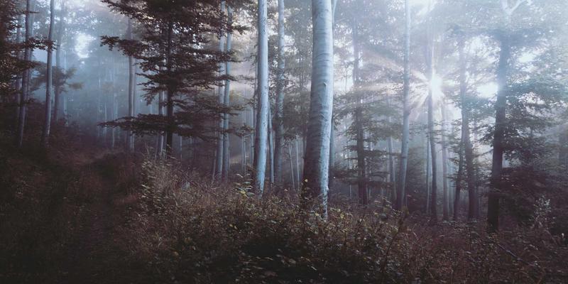 曼哈顿水龙头56：纽约酒吧文化的灵魂与一杯传世鸡尾酒的诞生