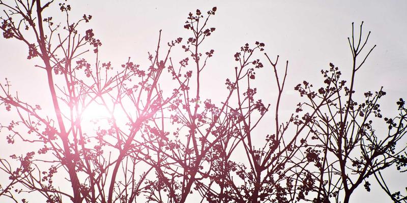 曼哈顿水龙头87:当经典鸡尾酒遇见现代调酒艺术