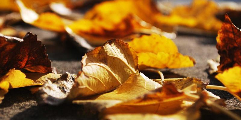 曼哈顿水龙头93：一杯鸡尾酒，解锁涂鸦风格酒吧的叛逆灵魂