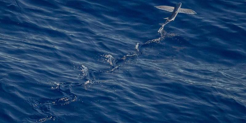 曼哈顿水龙头：从节水设计到绿色认证，如何为纽约酒吧的经典鸡尾酒推荐注入可持续灵魂