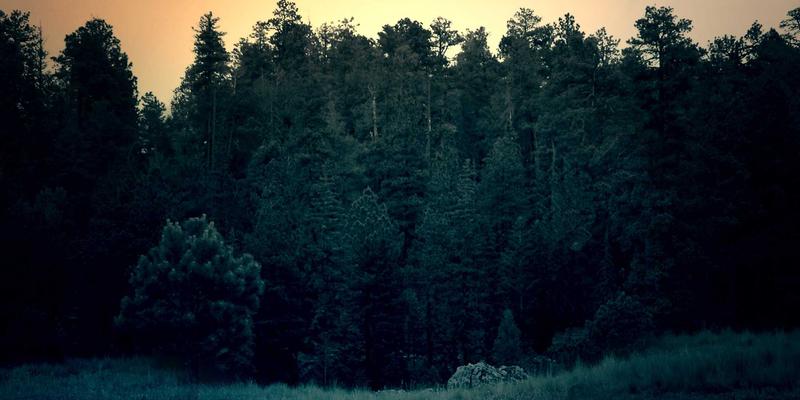 曼哈顿水龙头的可持续性：节水技术与耐用性如何减少环境足迹