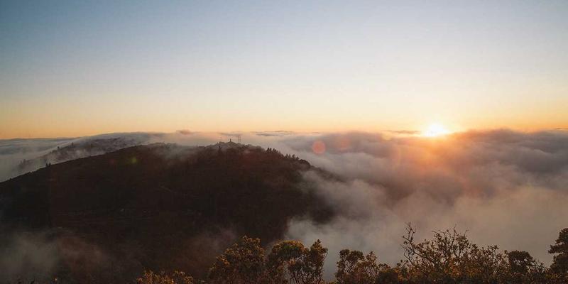 曼哈顿水龙头节水技术：如何为高端餐厅节省运营成本并提升可持续形象
