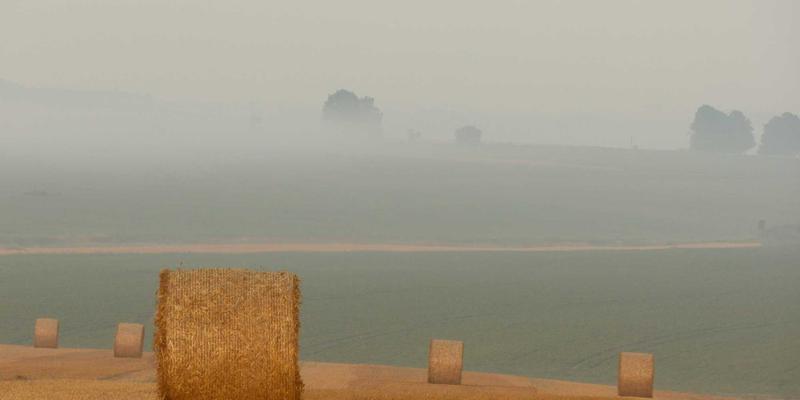曼哈顿高端餐厅后厨水龙头的卫生与耐用性：从酒吧文化到鸡尾酒推荐的商业考量